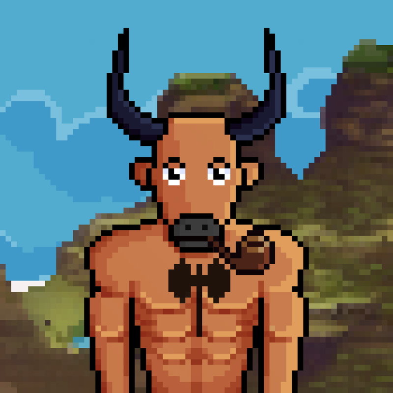 WISE BULLS #5