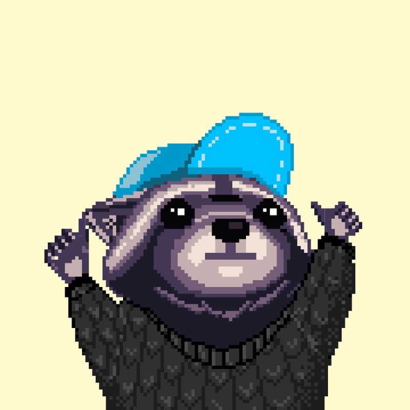Raccoon 1662