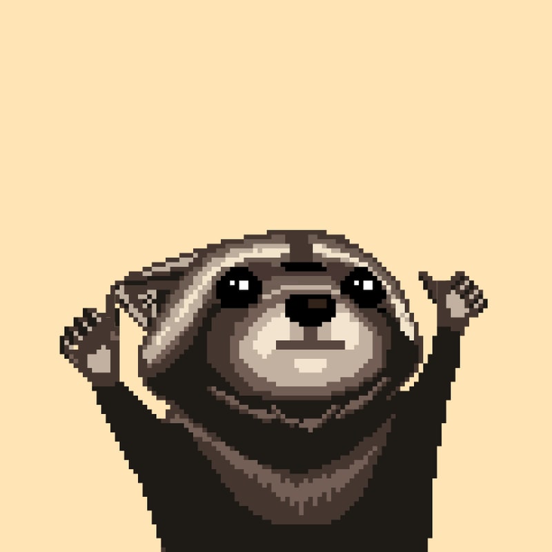Raccoon 1540