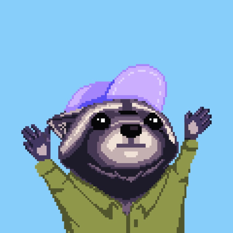 Raccoon 192
