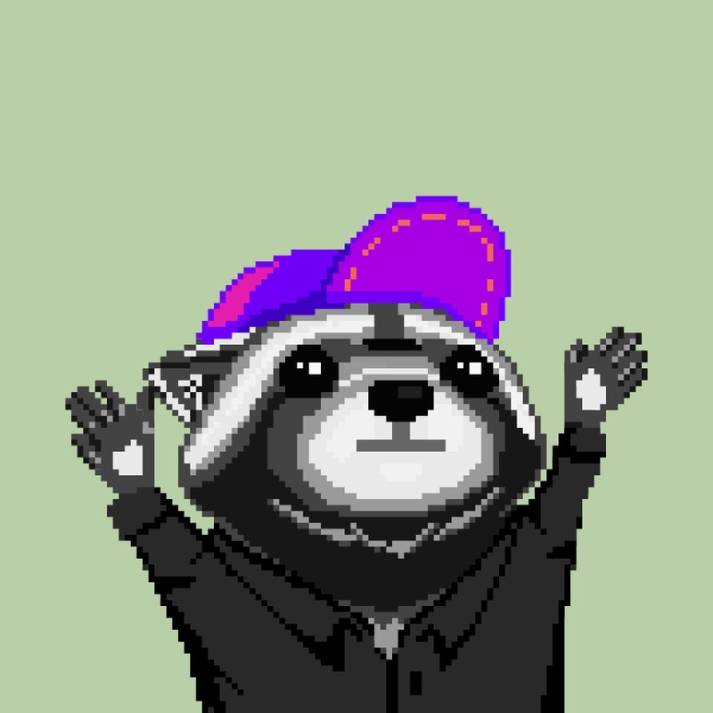 Raccoon 972