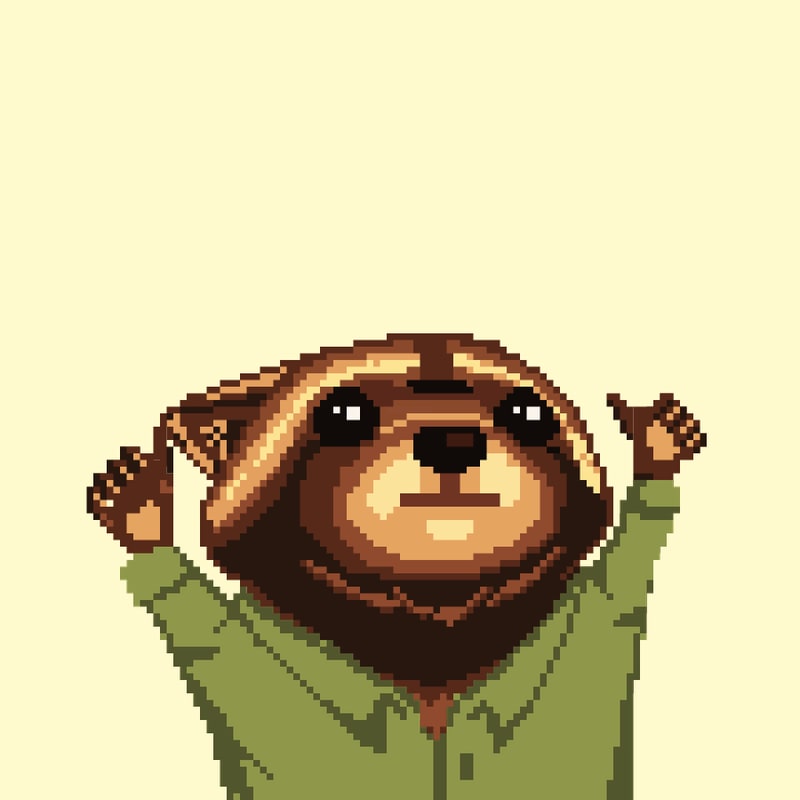 Raccoon 1428
