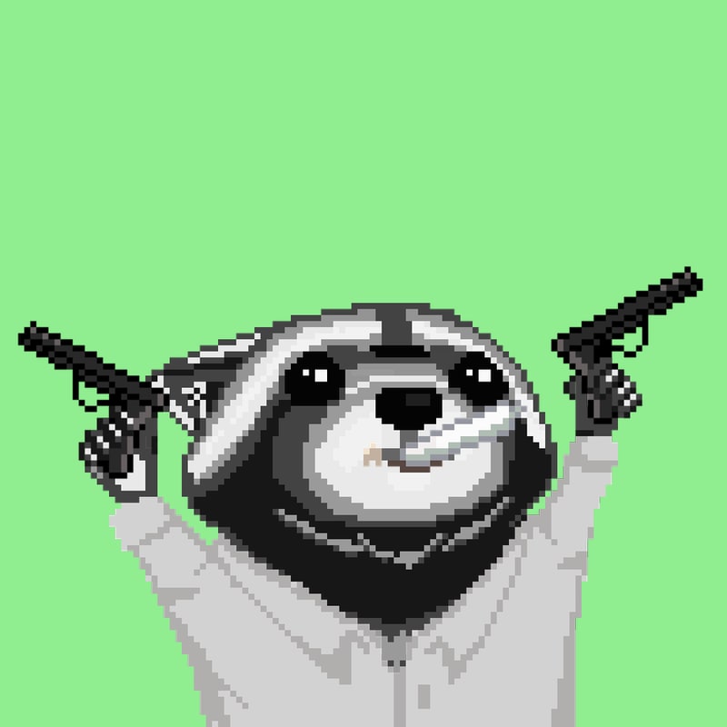 Raccoon 1875