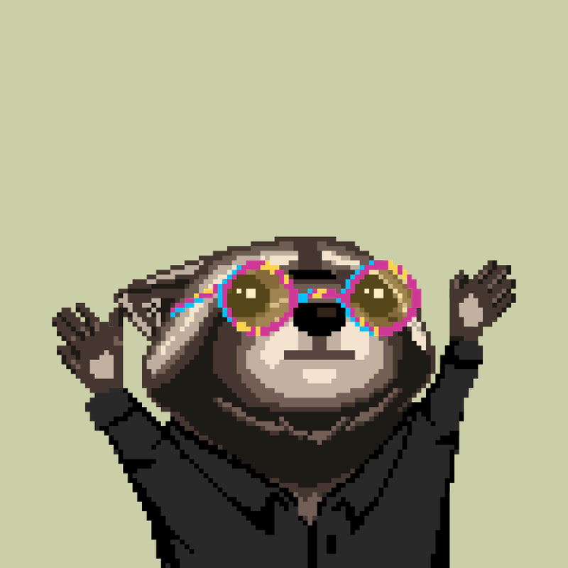 Raccoon 687