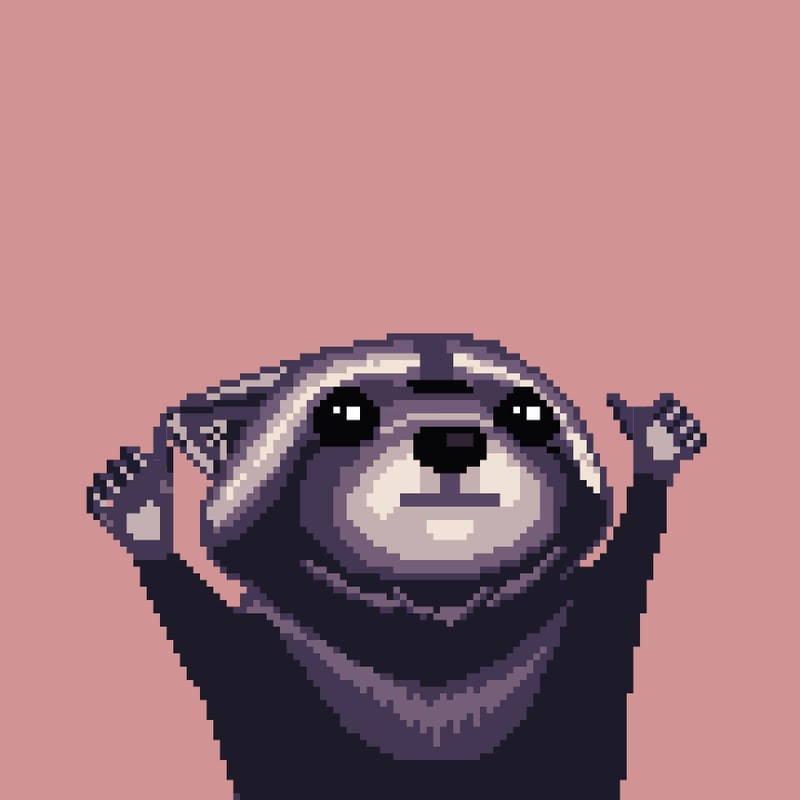 Raccoon 539
