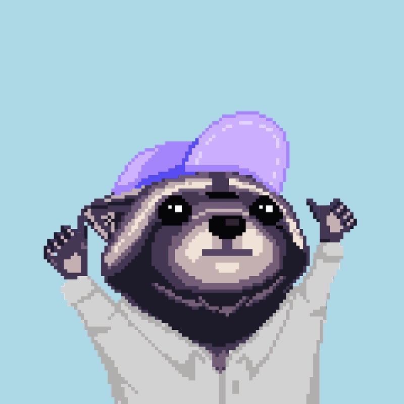 Raccoon 1080