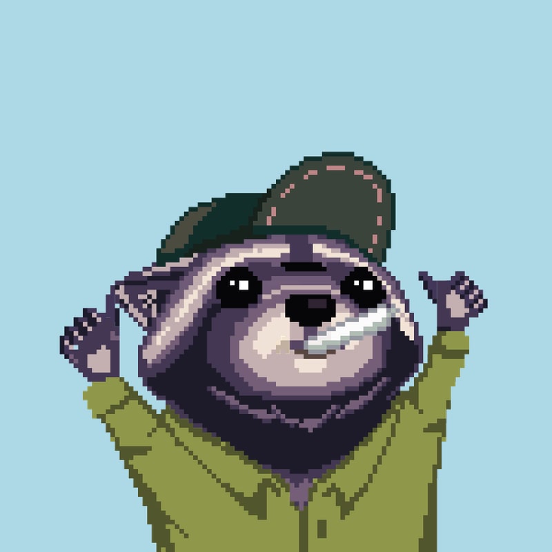 Raccoon 1530