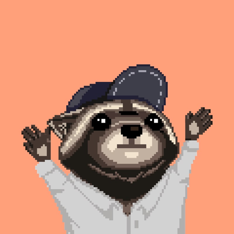 Raccoon 466