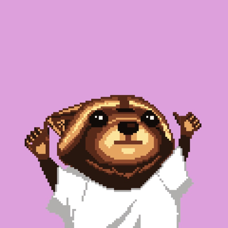 Raccoon 1453