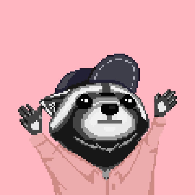 Raccoon 384