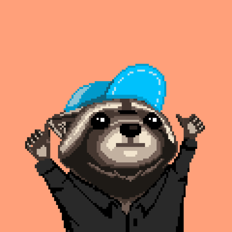 Raccoon 437